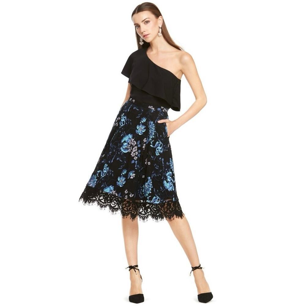 Anthropologie Embroidered Dark Floral Lace A-Line Skirt 10 whimsigoth boho